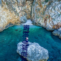 蜜桃传媒(méi)官网