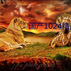 国产1024精品视频专区免费