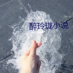 醉玲珑小说