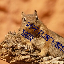 叶不凡唐飞雪林秋玲小说全文免费阅读完整版 （耿耿於心）