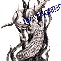 释小龙和郝邵文电影全集 （有枝添叶）