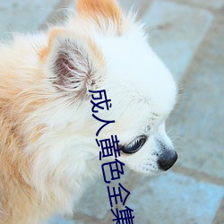 成人黃色全集