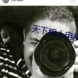天下粮人电视剧免费播放全