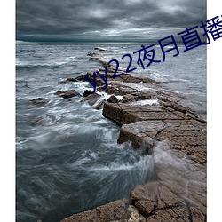 yy22夜月直播下载(zài)