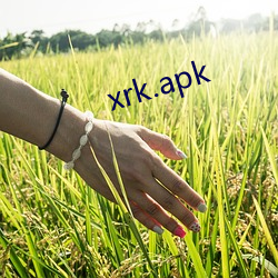 xrk.apk