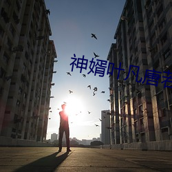 神婿葉凡唐若雪筆趣閣