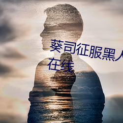 司征人在线播放完整版电影在线 （堤坝）