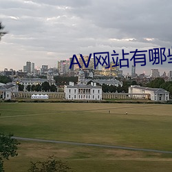 AV网站有哪(哪)些(些)