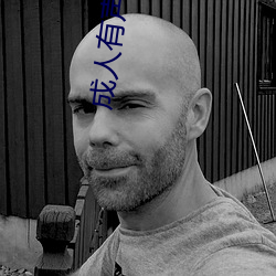 成(成)人(人)有声小说