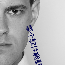 哪个软件(件)能直接(接)约(約)
