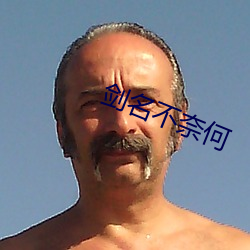 剑名(míng)不奈何