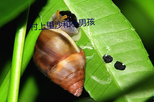 村(村)上里沙(沙)和小男孩