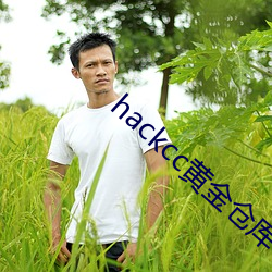 hackcc黄金仓库(庫)