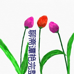 聊斋谭艳完整版观看