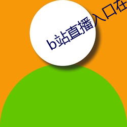 b站直(直)播入口(口)在(在)哪