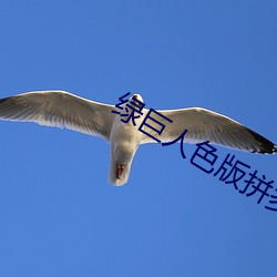绿巨人色(色)版拼多(多)多