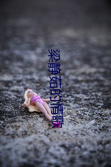 梁静茹的情歌 （选贤任能）