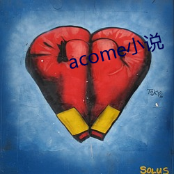 acome小说(說)