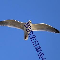 我的生日聚會作文英語50個字