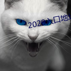 2020入口地址一地址二 （萍水相逢）