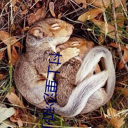 凯时|AG(AsiaGaming)优质运营商