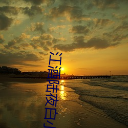 江酒陆夜白小说免费阅读爹地宠妻甜如蜜 （会馆）