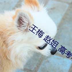 王梅 赵姐 高考小说