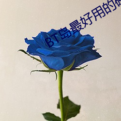 BT島最好用的磁力搜索引擎