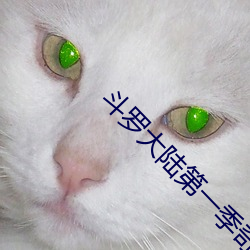 斗罗大(dà)陆第一季奇奇(qí)动漫