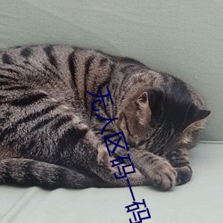 無人區碼一碼二碼三碼區別在哪裏