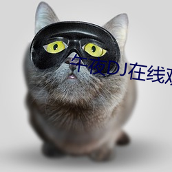 午夜DJ在线观看