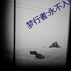 梦行者:永不入睡
