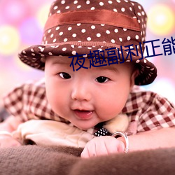 夜趣副利正能量