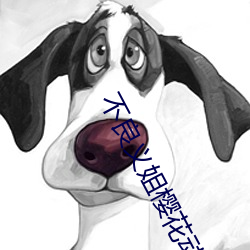 不(不)良义姐樱花动(動)漫v7.2.3