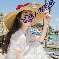 极品人(rén)妻互换