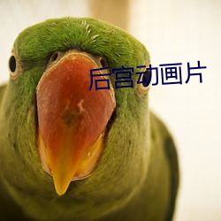 金年会 | 诚信至上金字招牌