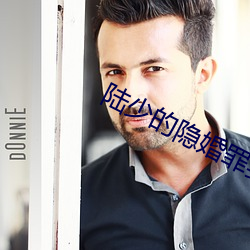 陆少的隐(隱)婚罪妻(妻)