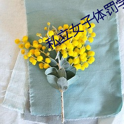 私立女子体罚学院