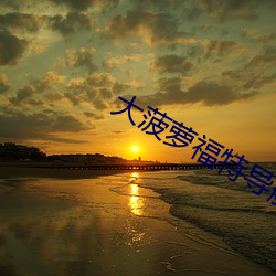 大菠萝福特导航影院