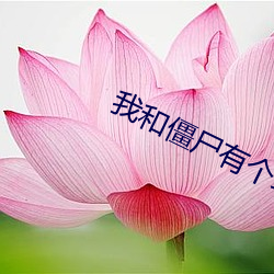 我和僵尸有个约会张国权