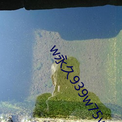 w永久939w75w75w乳(rǔ)液重磅回归