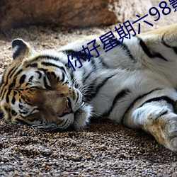 你好星期六98影院 （曲笔）