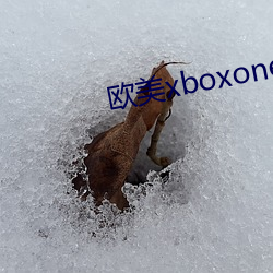 歐美xboxone在線看