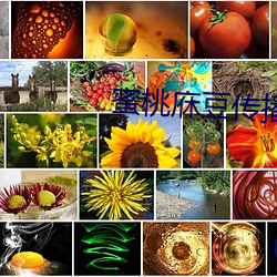 蜜桃庥豆传播媒体免费入口
