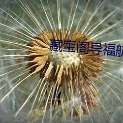 藏宝阁导：酵入口 （衽革枕戈）