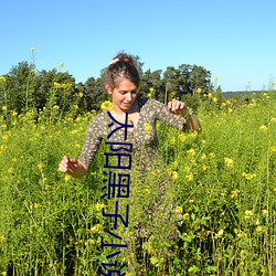 太阳(yáng)黑子(zi)小说