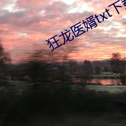 狂(狂)龙(龍)医(醫)婿txt下载