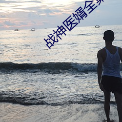 戰神醫婿全集