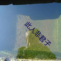 此人非君子