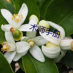 术(shù)师手册